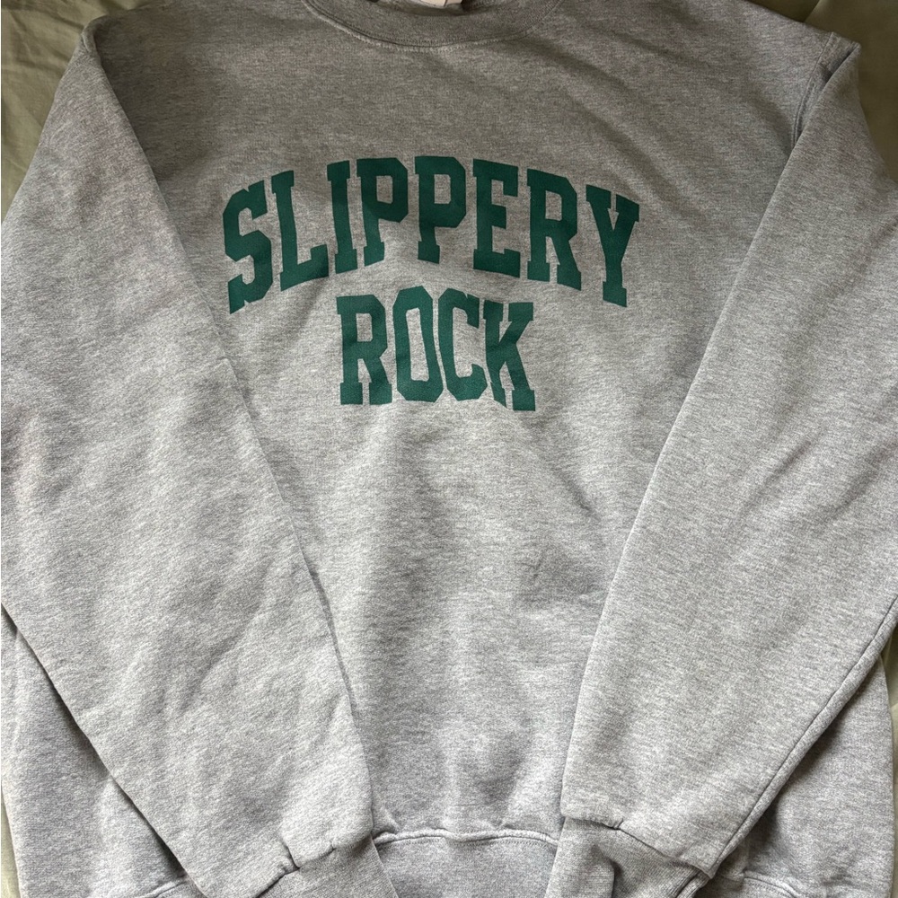 Champion Gray Crewneck Sweater with Green Print